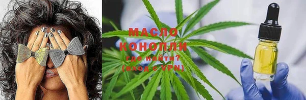 гидра Абаза