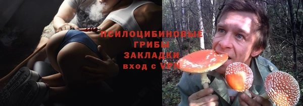 гидра Абаза