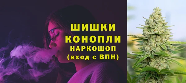 гидра Абаза