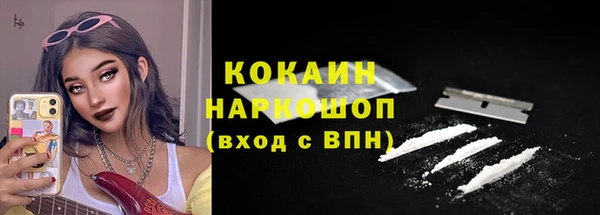 гидра Абаза