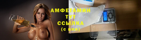 гидра Абаза