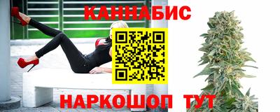 крисы Кандалакша