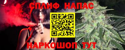 Альфа ПВП Камышлов