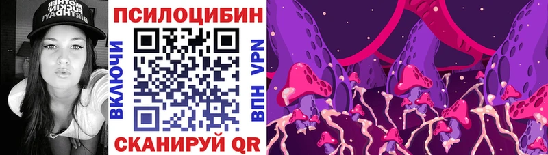 Галлюциногенные грибы Psilocybe  Моршанск 